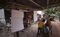 carousel chooser