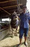 carousel chooser