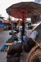 carousel chooser