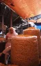 carousel chooser