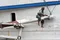 carousel chooser