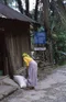 carousel chooser
